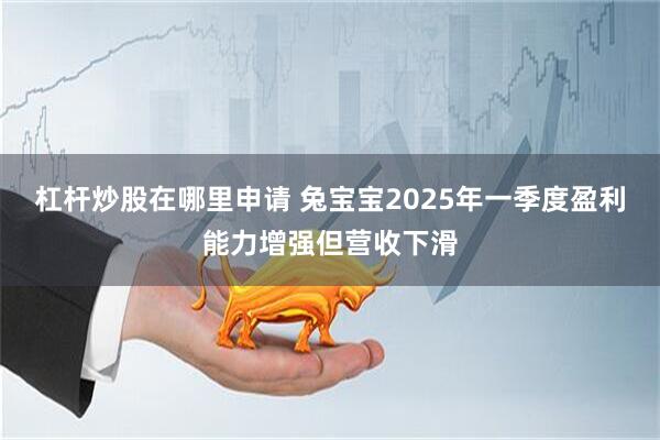 杠桿炒股在哪里申請(qǐng) 兔寶寶2025年一季度盈利能力增強(qiáng)但營收下滑